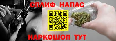 амф Можга