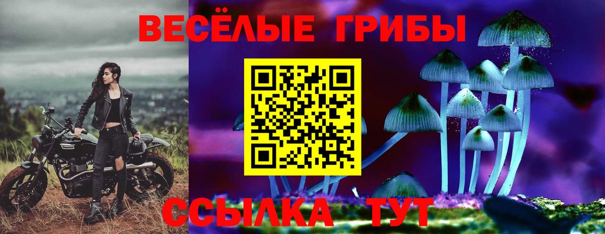 Псилоцибиновые грибы GOLDEN TEACHER  Вход с VPN  Уварово 